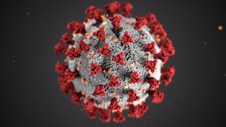 Bild Coronavirus | © CDC / Unsplash