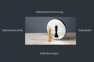 Grafik zeigt hölzerne Schachfigur vor einem Spiegel; das Spiegelbild ist schwarz. Um das Bild herum die Begriffe Selbstwahrnehmung, Selbstbild, Selbstkonzept, Selbsterkenntnis.