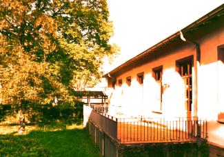 Foto der HSE-Terrasse im Abendlicht, links begrenzt von einem großen Baum.