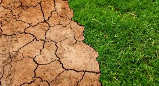 Ausgetrocknete Erde grenzt an saftig grünes Gras.