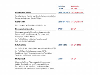 Abbildung der Studienstruktur des Master of Education mit den Profillinien Lehramt Sekundarstufe I und Lehramt Gymnasium