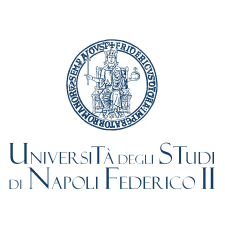 Logo Università degli Studi di Napoli Federico II