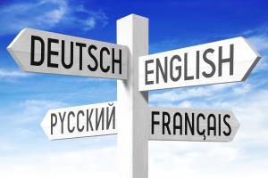 Bild zur HSE-Weiterbildung Mehrsprachigkeit