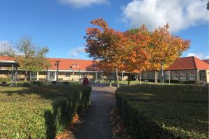 Bild des Gymnasiums von Virum (Dänemark) im Herbst mit Gründfläche und Bäumen