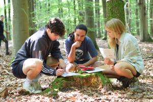 3 Studierende in Sommerkleidung sitzen im Wald in der Hocke um einen Baumstumpf und versuchen eine Aufgabe zu lösen.