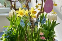 Frühlingshaft bepflanzter Osterkorb mit Tulpen, Narzissen und Hyazinthen, geschmückt mit selbst bemalten und beschrifteten Ostereiern aus Holz.