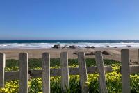 Ein hölzerner Lattenzaun vor gelb blühenden Pflanzen am Strand