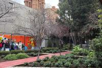 Der grüne Campus der PUCV