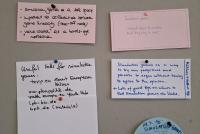 Eine Pinnwand mit beschrifteten bunten Karten zum Thema Simulation Games